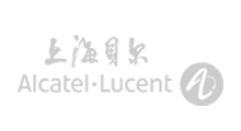 上海贝尔股份有限公司